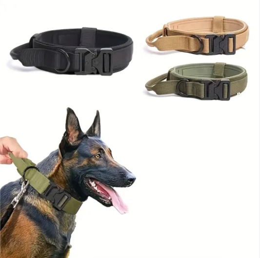Collier Tactique Robuste pour Chien - Idéal Entraînement & Usage Militaire