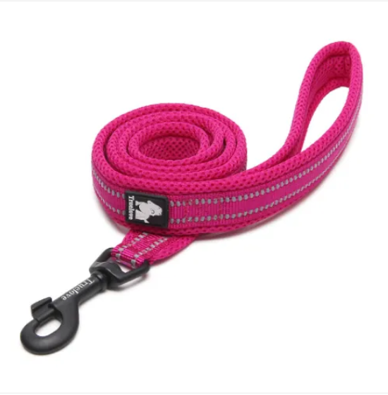 Laisse souple en nylon rembourrée pour chien