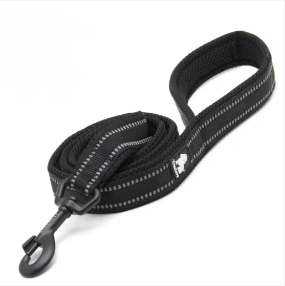 Laisse souple en nylon rembourrée pour chien