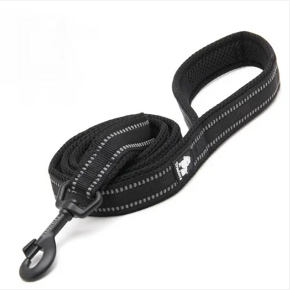Laisse souple en nylon rembourrée pour chien