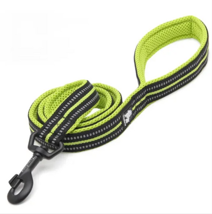 Laisse souple en nylon rembourrée pour chien