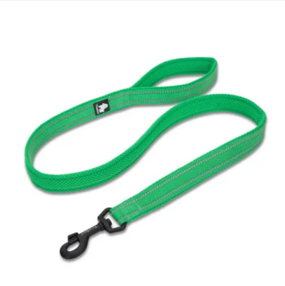 Laisse souple en nylon rembourrée pour chien