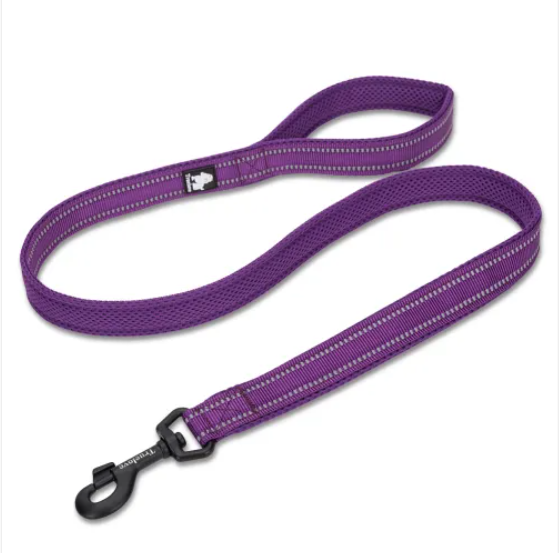 Laisse souple en nylon rembourrée pour chien
