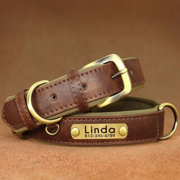 Collier Chien Personnalisé en Cuir – Gravure Nom & Téléphone Offerte | Rembourré & Confortable