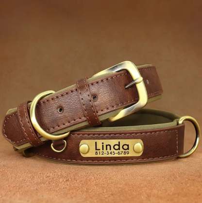 Collier Chien Personnalisé en Cuir – Gravure Nom & Téléphone Offerte | Rembourré & Confortable
