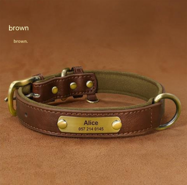 Collier Chien Personnalisé en Cuir – Gravure Nom & Téléphone Offerte | Rembourré & Confortable