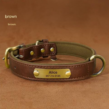 Collier Chien Personnalisé en Cuir – Gravure Nom & Téléphone Offerte | Rembourré & Confortable