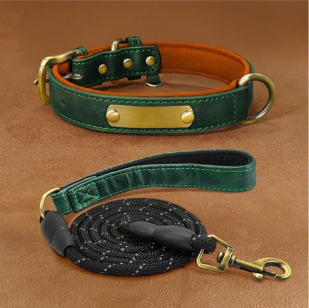 Collier Chien Personnalisé en Cuir – Gravure Nom & Téléphone Offerte | Rembourré & Confortable
