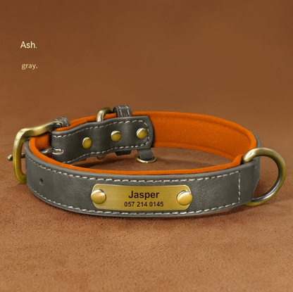 Collier Chien Personnalisé en Cuir – Gravure Nom & Téléphone Offerte | Rembourré & Confortable