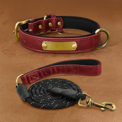 Collier Chien Personnalisé en Cuir – Gravure Nom & Téléphone Offerte | Rembourré & Confortable