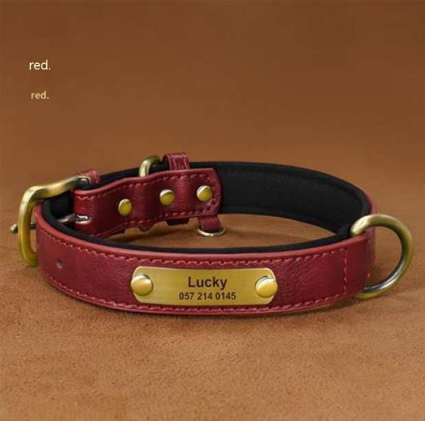 Collier Chien Personnalisé en Cuir – Gravure Nom & Téléphone Offerte | Rembourré & Confortable