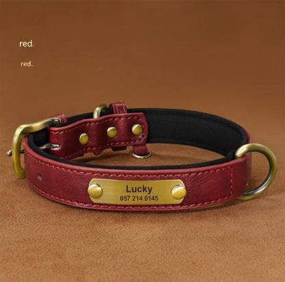 Collier Chien Personnalisé en Cuir – Gravure Nom & Téléphone Offerte | Rembourré & Confortable