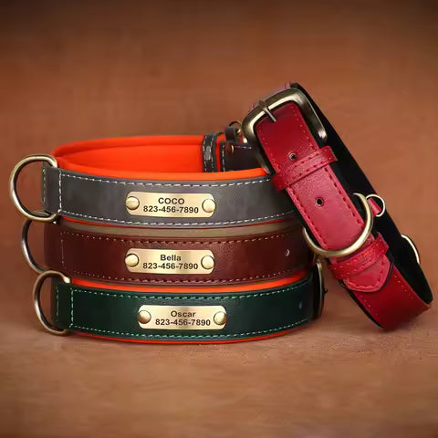 Collier Chien Personnalisé en Cuir - Gravure Nom Offerte - Rembourré & Confortable