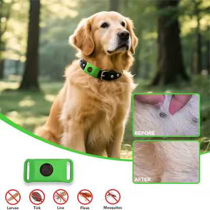 Collier Anti-Puces Naturel pour Chiens et Chats - Répulsif Huiles Essentielles