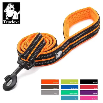 Laisse souple en nylon rembourrée pour chien et chat - 200 cm