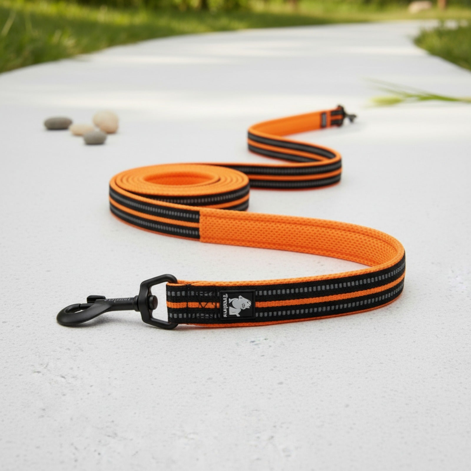 Laisse souple en nylon rembourrée pour chien et chat - 200 cm