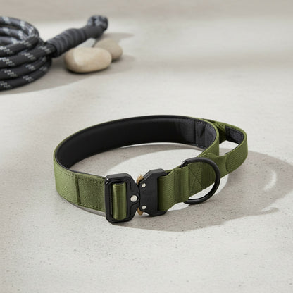 Collier Tactique Robuste pour Chien - Idéal Entraînement & Usage Militaire