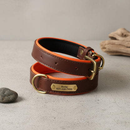 Collier Chien Personnalisé en Cuir - Gravure Nom Offerte - Rembourré & Confortable