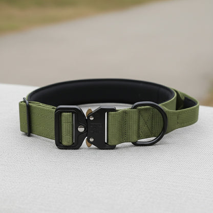 Collier Tactique Robuste pour Chien - Idéal Entraînement & Usage Militaire
