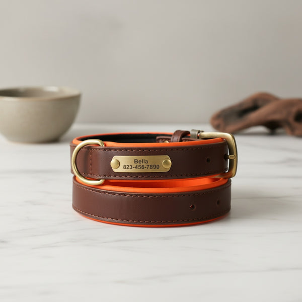 Collier Chien Personnalisé en Cuir - Gravure Nom Offerte - Rembourré & Confortable