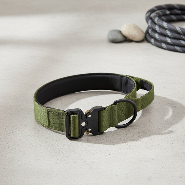 Collier Tactique Robuste pour Chien - Idéal Entraînement & Usage Militaire