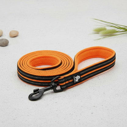 Laisse souple en nylon rembourrée pour chien et chat - 200 cm